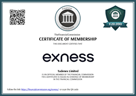 Exness Copy Trading A Comprehensive Guide to Success