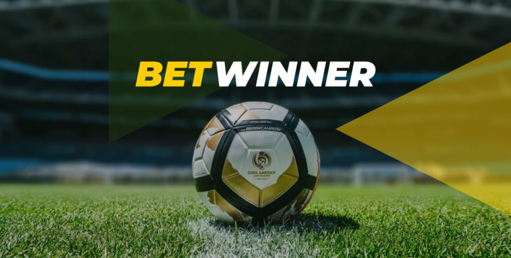 The Ultimate Guide to Taka Bet 25 VIP