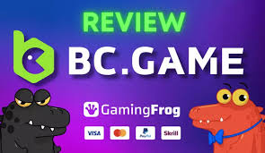 Understanding the Dynamics of BC CO